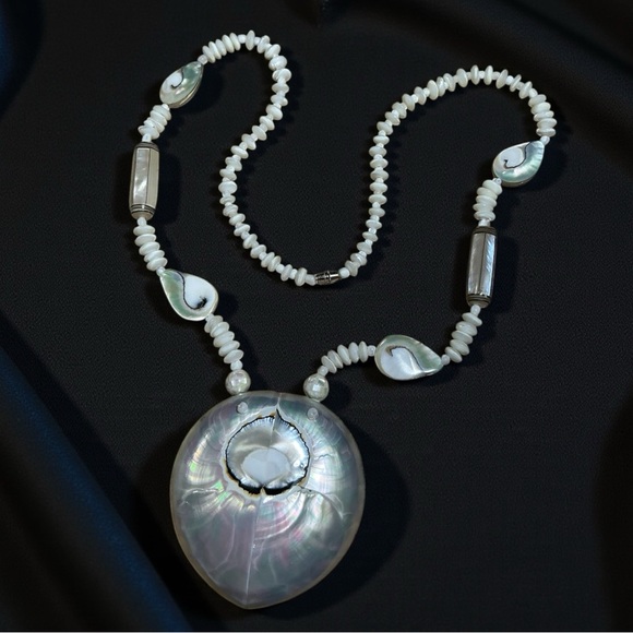 Beautiful Ammonite Shell Necklace - Picture 5 of 5